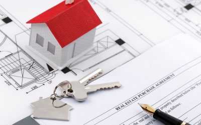 L’Immobilier du Futur : Les Maisons Qui Poussent Toute Seules !