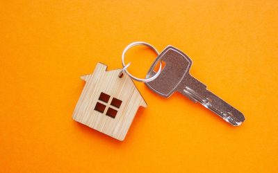Quand l&rsquo;immobilier rime avec écologie : Les maisons végétales, nouveau must-have