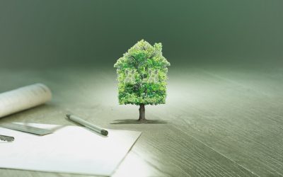 Quand une maison détermine votre espérance de vie : l’impact caché de l’immobilier sur la santé