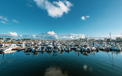 Immobilier arcachon pyla, marché premium insensible aux marées baissières nationales