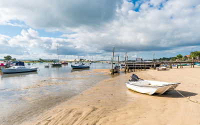 Immobilier arcachon pyla : pourquoi la cote atlantique flambe encore fort
