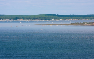 Immobilier arcachon 2024: le mètre carré flirte à 8 250 €