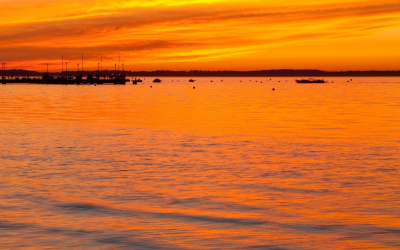 Immobilier à arcachon, pyla-sur-mer : prix en plein envol depuis 2020