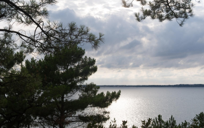 Immobilier bassin d’arcachon : les prix bravent la houle financière