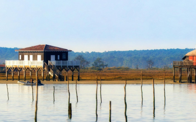 Immobilier du bassin d’arcachon demeure solide malgré bourrasques économiques persistantes